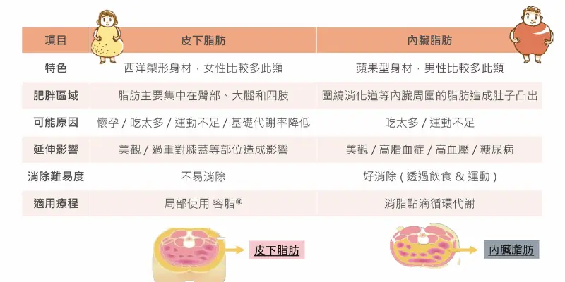 溶脂針10 溶脂針推薦10
