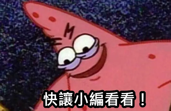 洢蓮絲(少女針，奇蹟針)網美牆2