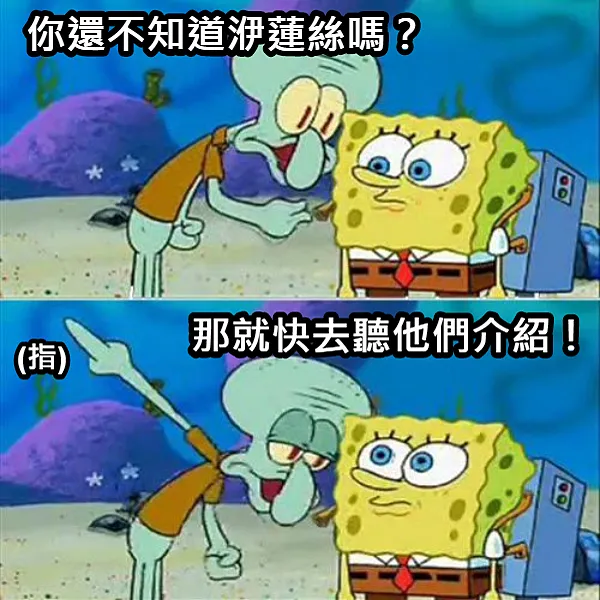 洢蓮絲(少女針，奇蹟針)網美牆3